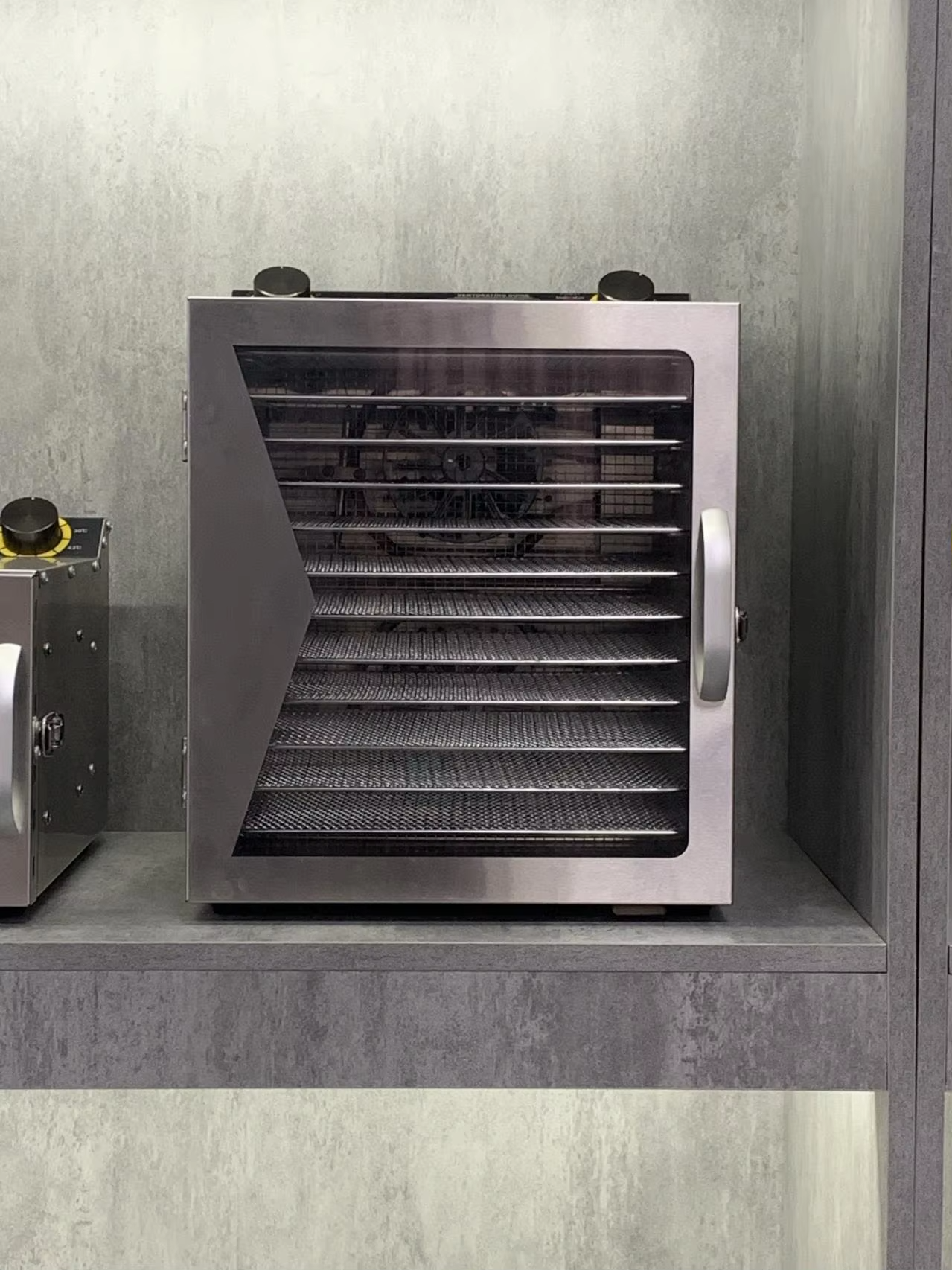 Mini Fruit and Vegetable Dryer - Dehydrator Tray Electric reseña y precio