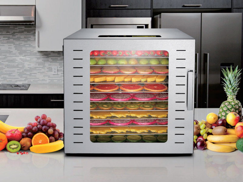 12 Trays Dehydrator for Fruits - Dehydrator Tray Electric reseña y precio