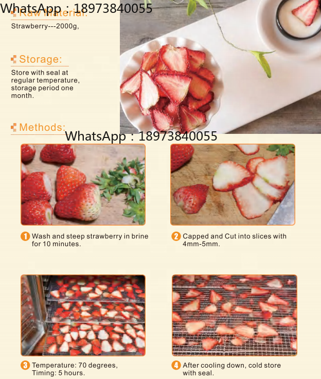 96 Trays Stainless Steel Indus - Dehydrator Tray Electric reseña y precio